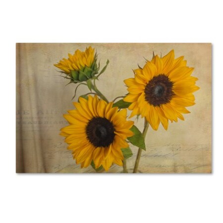 Trademark Fine Art Bob Rouse 'Sunflowers II' Canvas Art, 16x24 ALI15996-C1624GG
